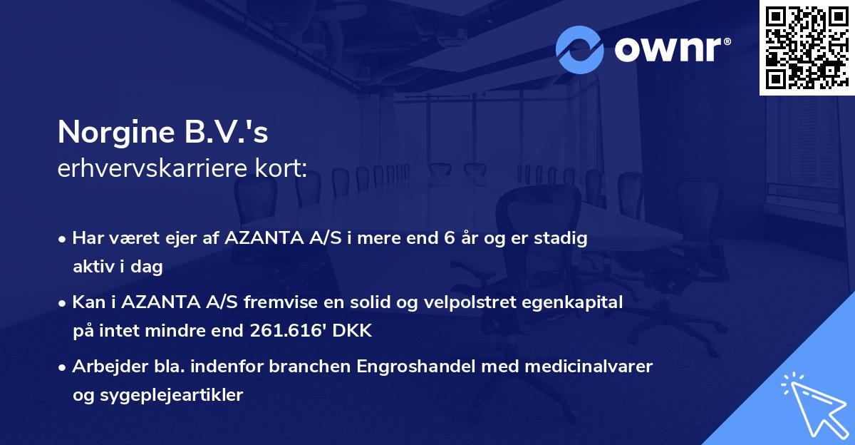 Norgine B.V.'s erhvervskarriere kort