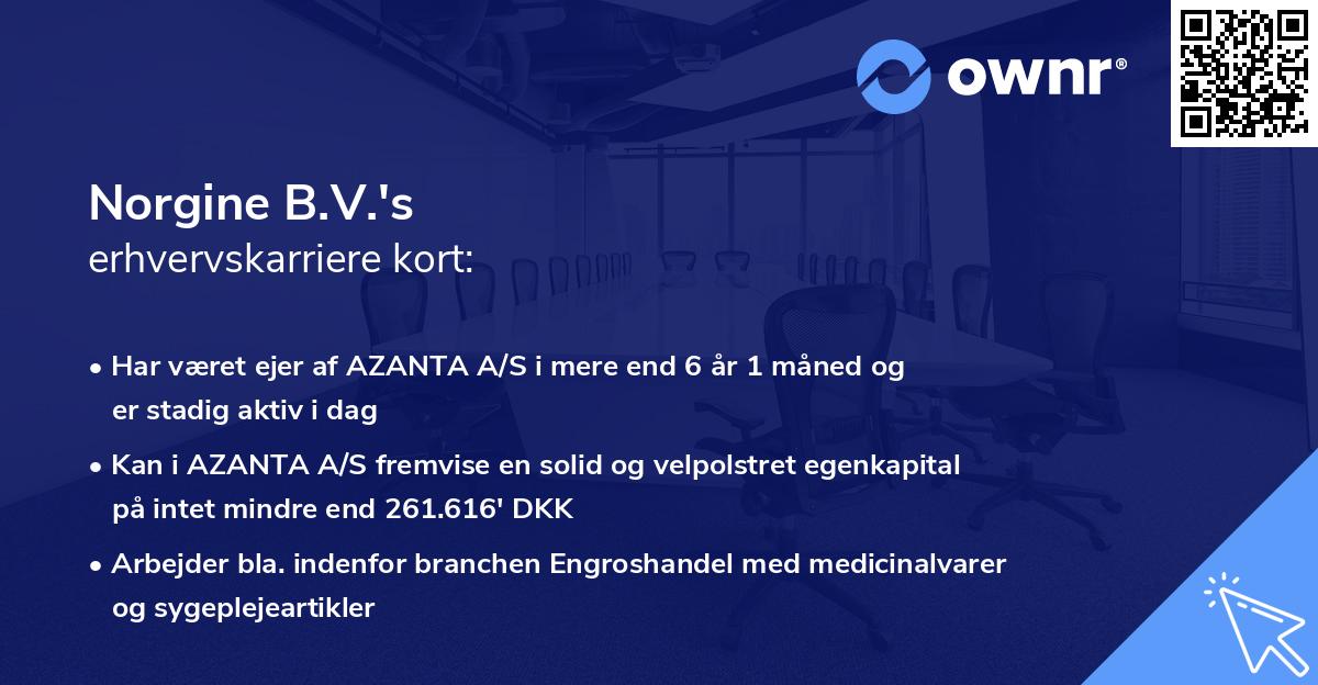 Norgine B.V.'s erhvervskarriere kort