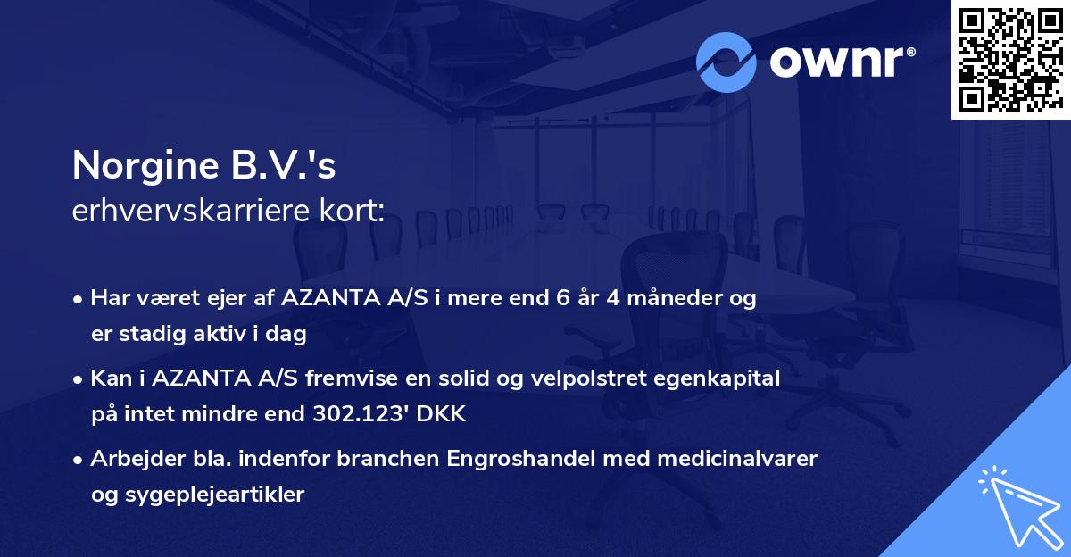 Norgine B.V.'s erhvervskarriere kort