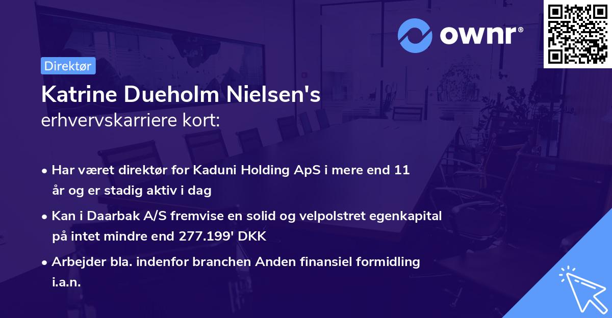 Katrine Dueholm Nielsen's erhvervskarriere kort