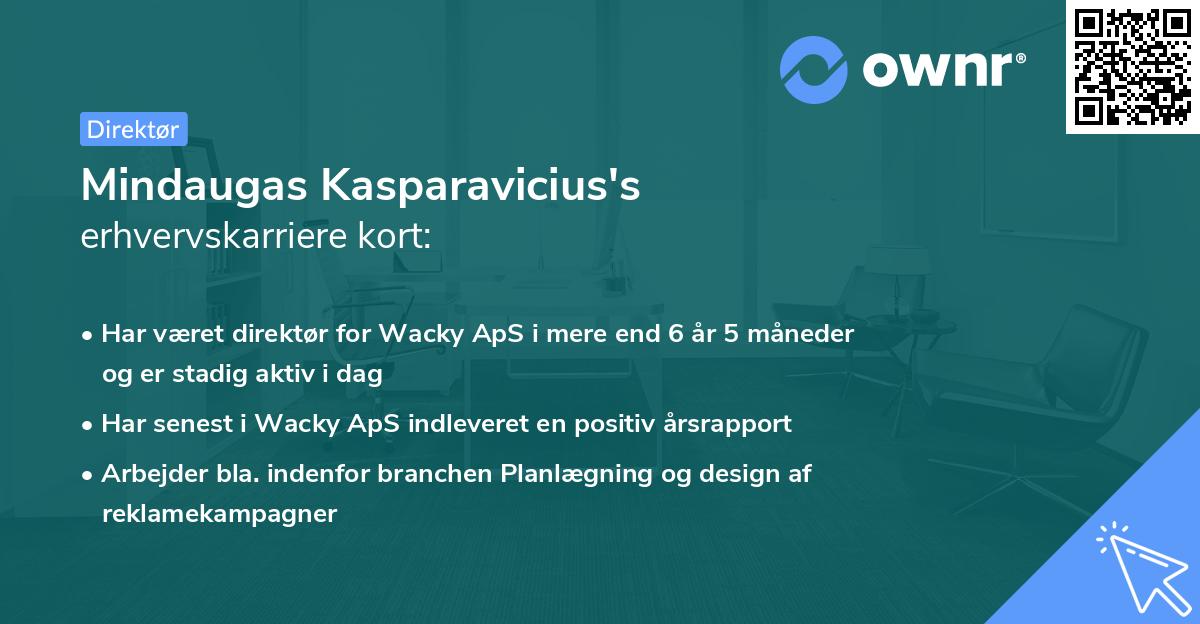 Mindaugas Kasparavicius's erhvervskarriere kort