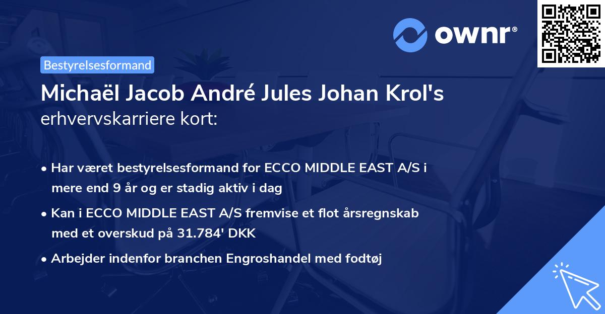 Michaël Jacob André Jules Johan Krol's erhvervskarriere kort