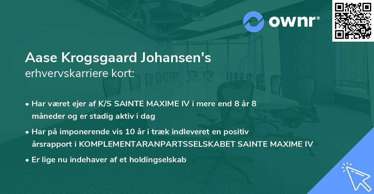 Aase Krogsgaard Johansen's erhvervskarriere kort