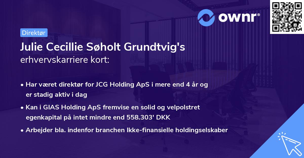 Julie Cecillie Søholt Grundtvig's erhvervskarriere kort