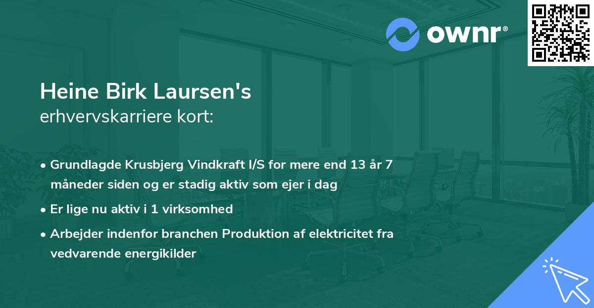 Heine Birk Laursen's erhvervskarriere kort