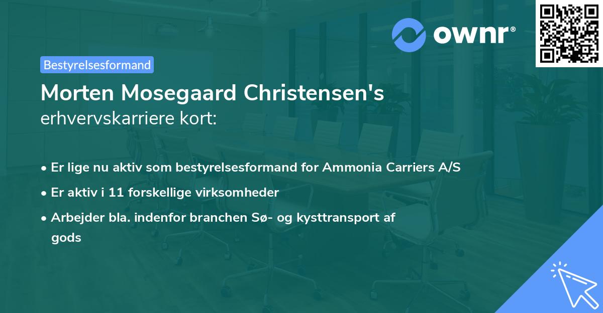 Morten Mosegaard Christensen's erhvervskarriere kort