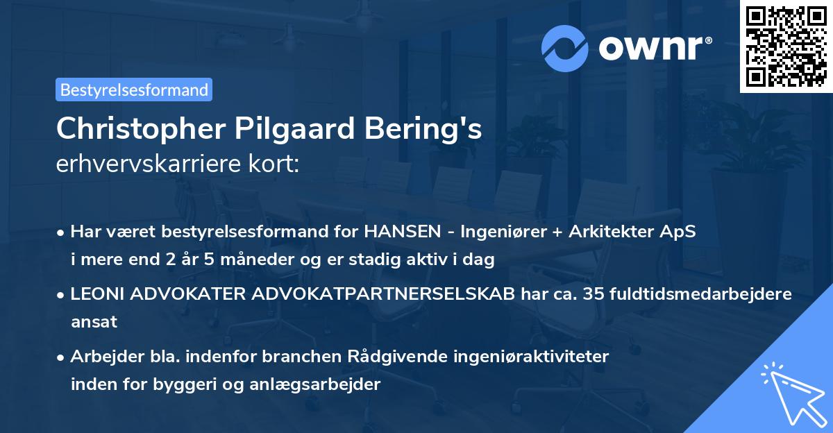 Christopher Pilgaard Bering's erhvervskarriere kort
