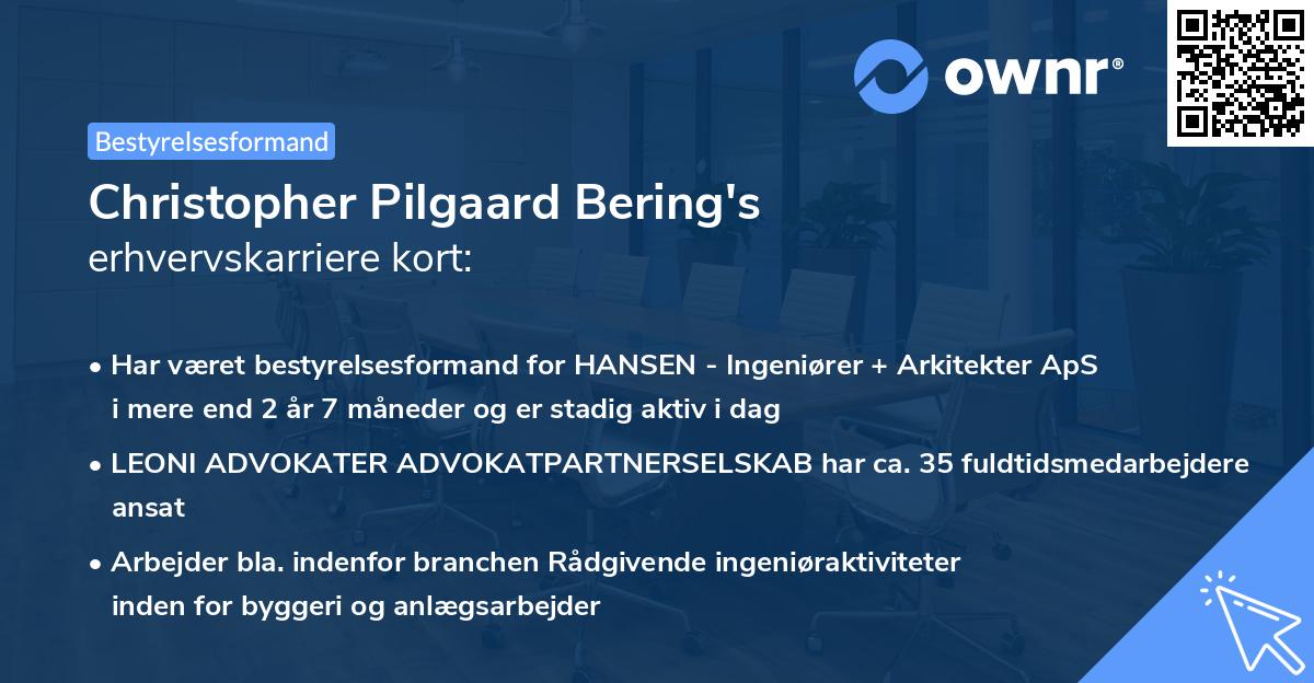 Christopher Pilgaard Bering's erhvervskarriere kort