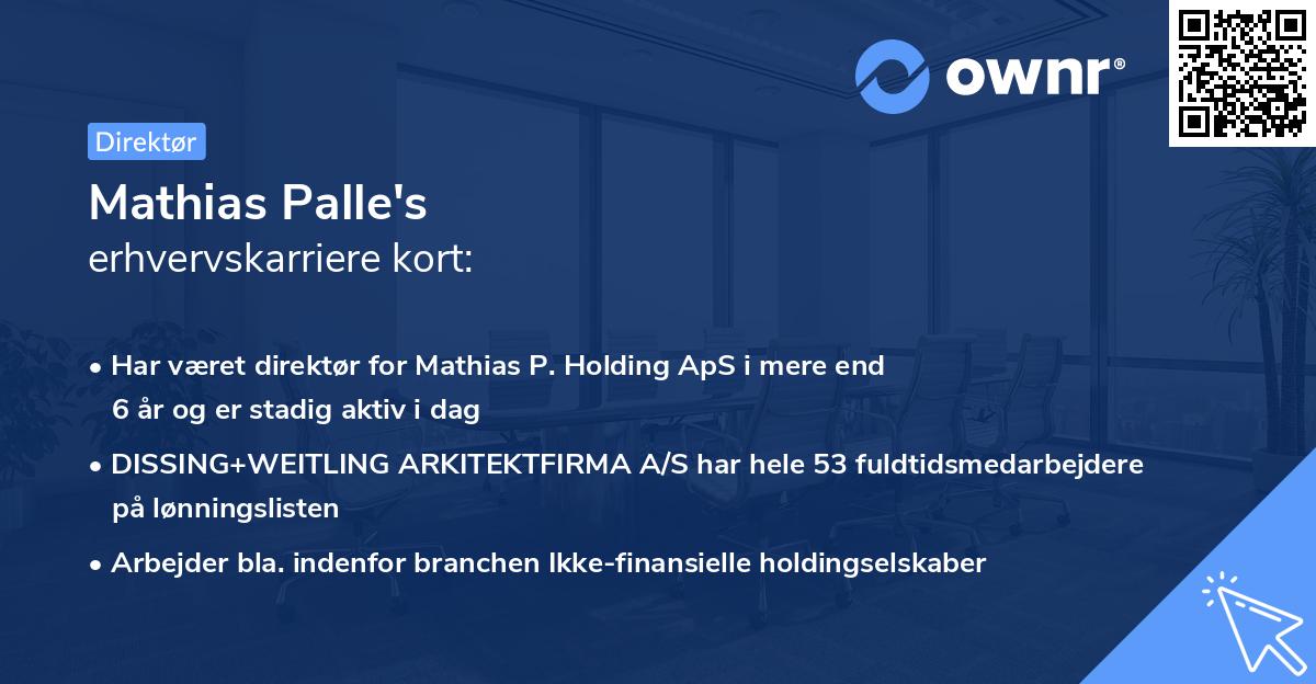 Mathias Palle's erhvervskarriere kort