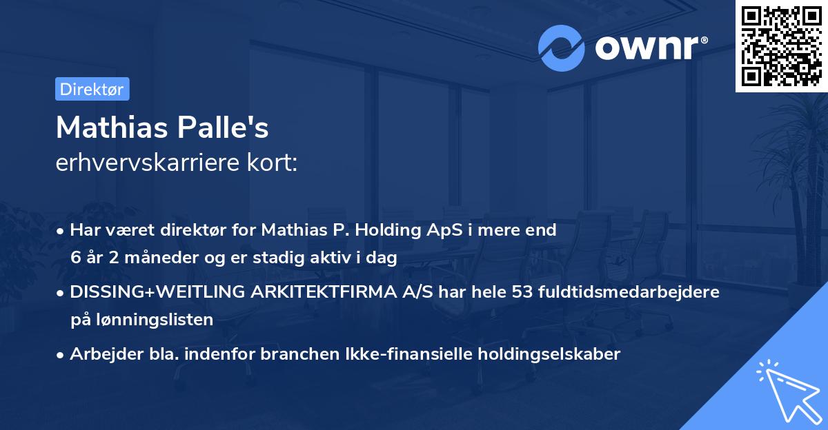 Mathias Palle's erhvervskarriere kort