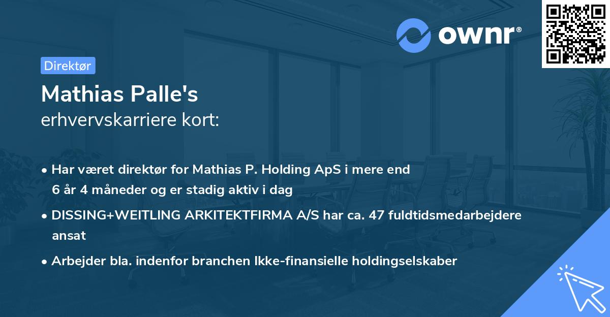 Mathias Palle's erhvervskarriere kort