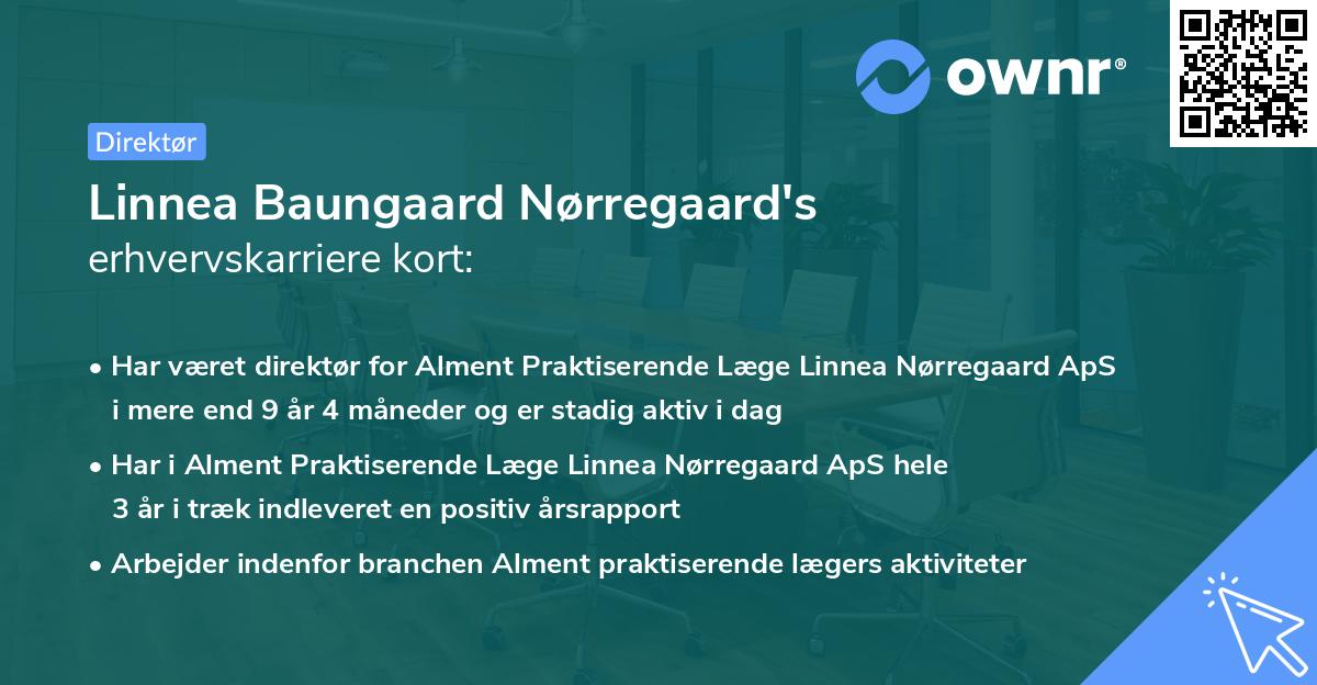 Linnea Baungaard Nørregaard's erhvervskarriere kort