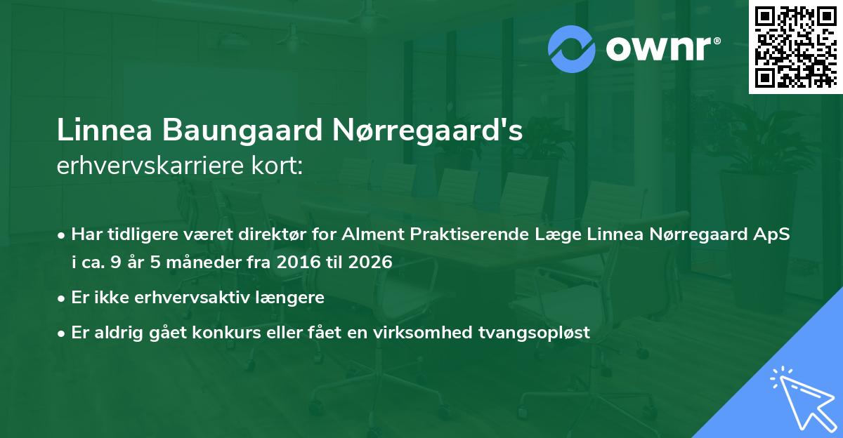 Linnea Baungaard Nørregaard's erhvervskarriere kort