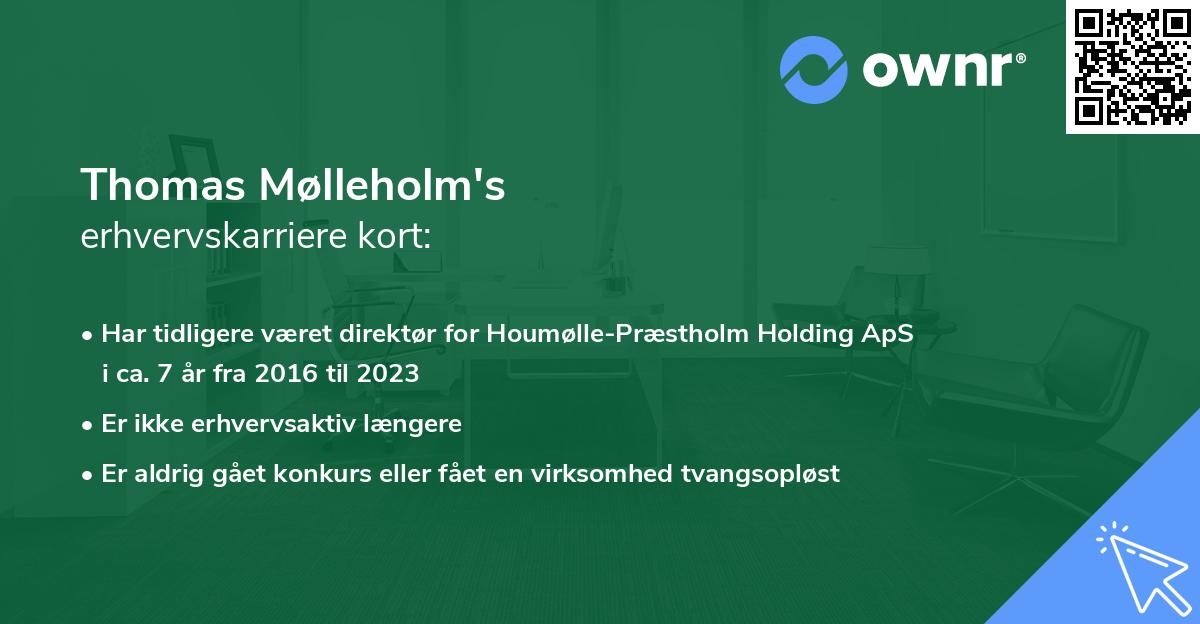 Thomas Mølleholm's erhvervskarriere kort