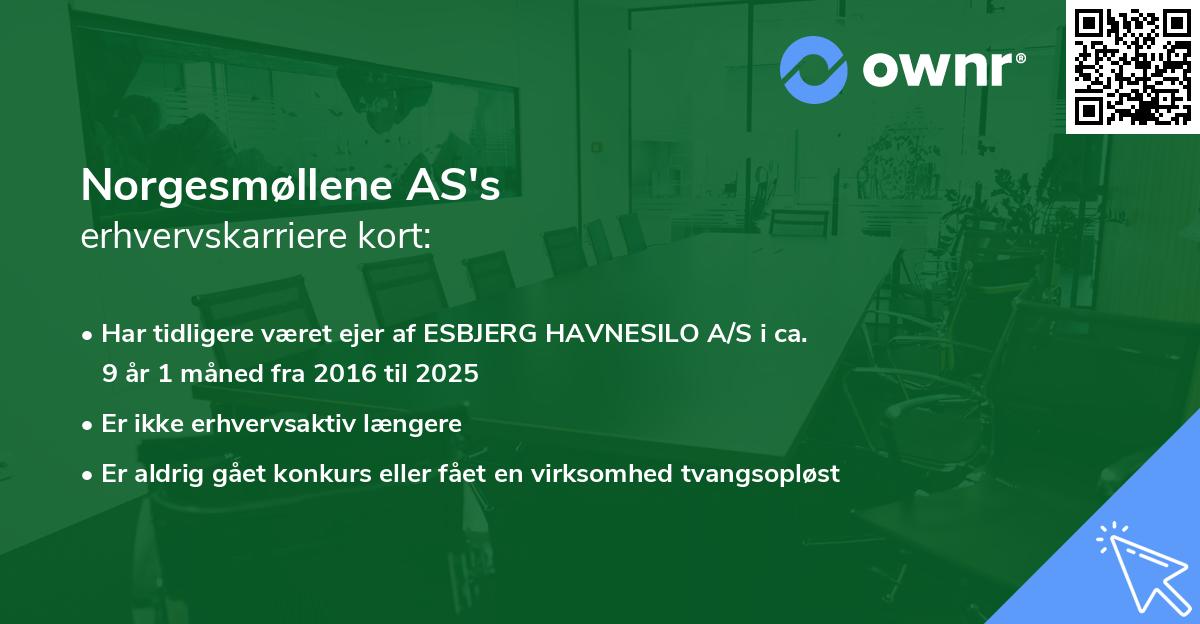 Norgesmøllene AS's erhvervskarriere kort