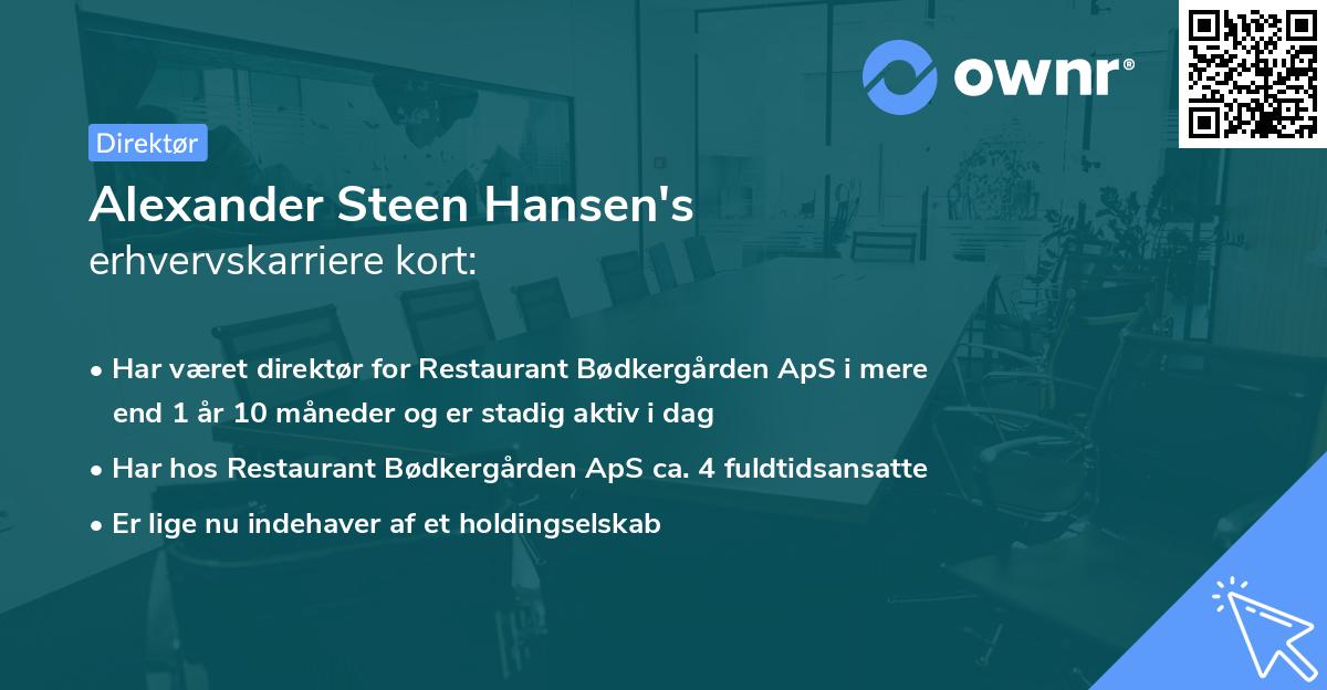 Alexander Steen Hansen's erhvervskarriere kort