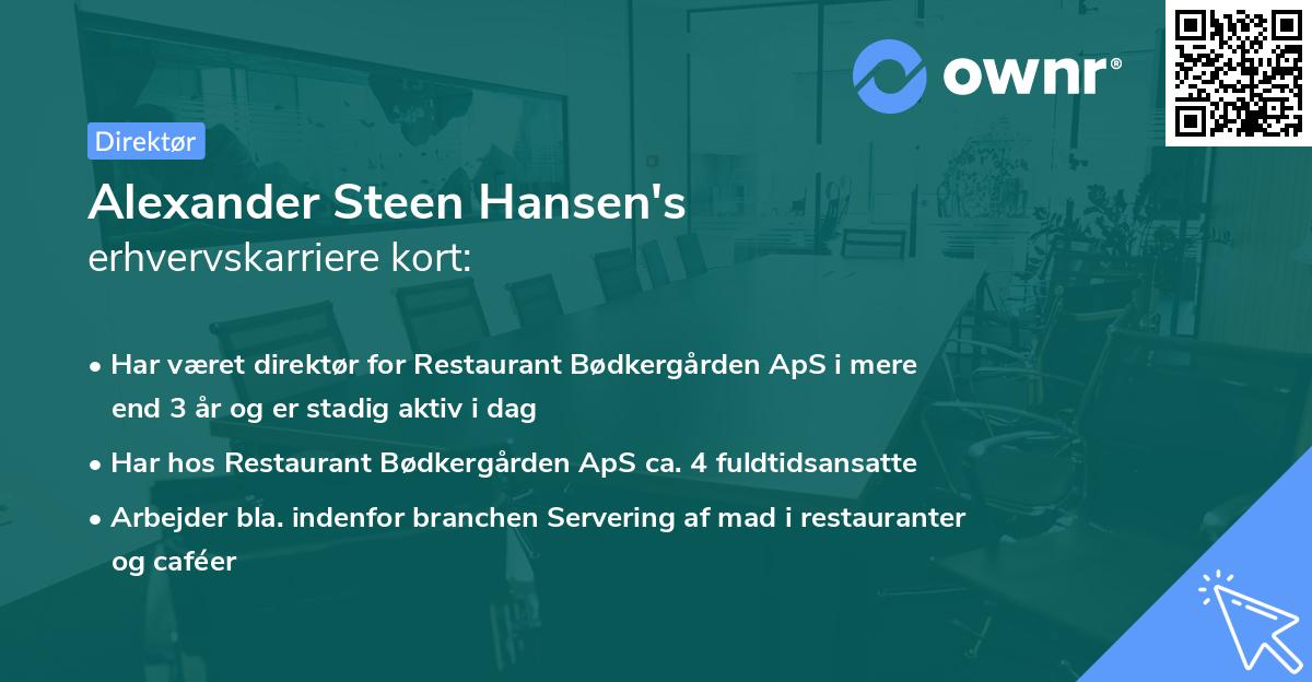 Alexander Steen Hansen's erhvervskarriere kort