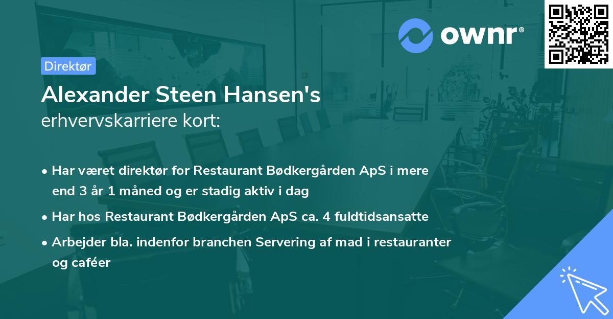 Alexander Steen Hansen's erhvervskarriere kort