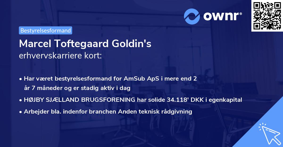 Marcel Toftegaard Goldin's erhvervskarriere kort