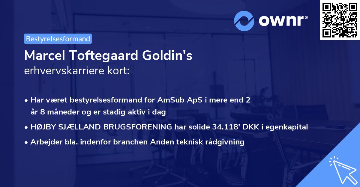 Marcel Toftegaard Goldin's erhvervskarriere kort