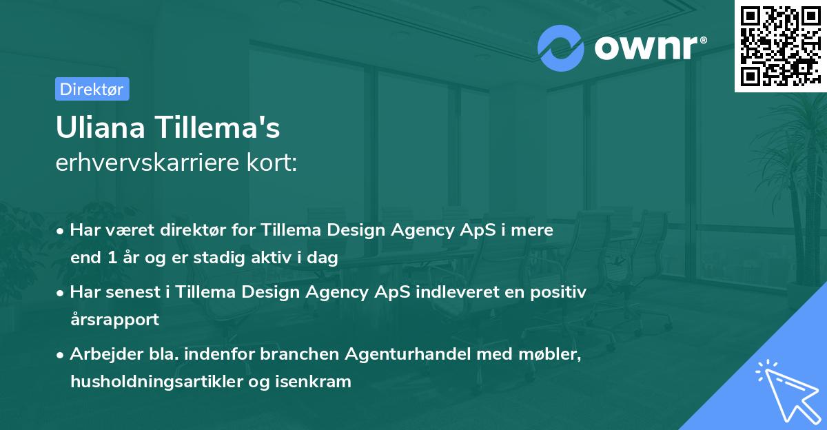 Uliana Tillema's erhvervskarriere kort