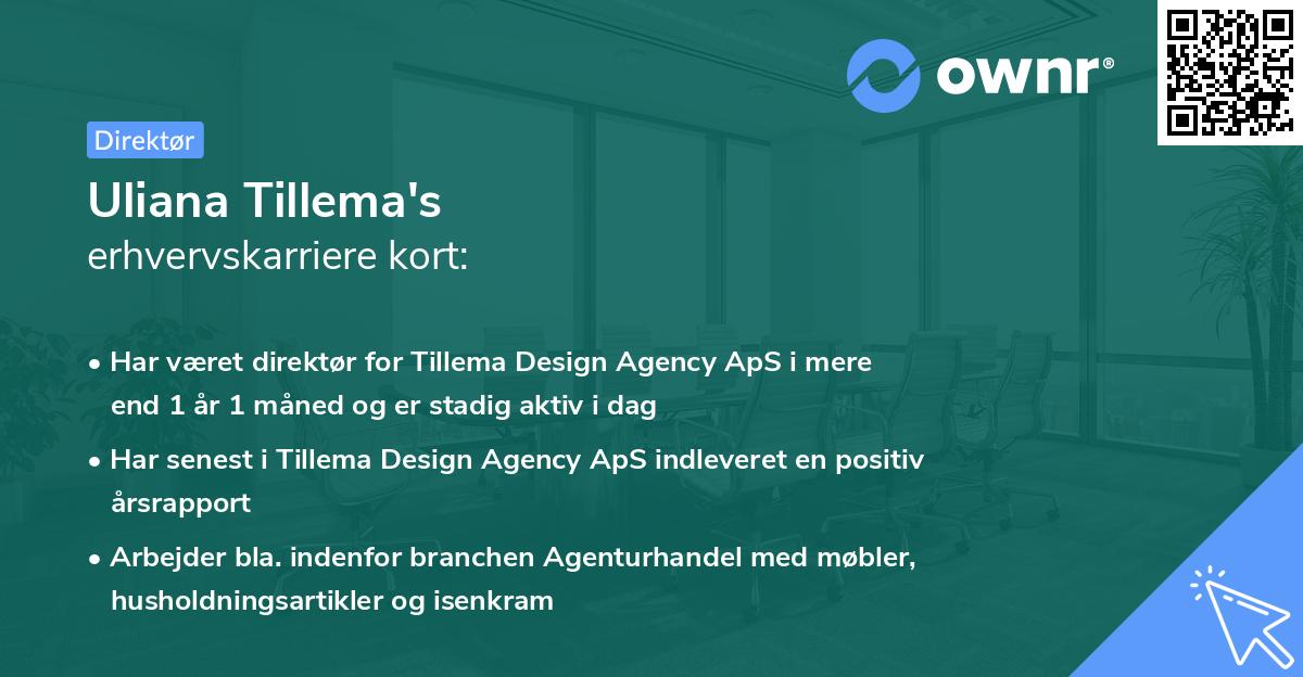 Uliana Tillema's erhvervskarriere kort