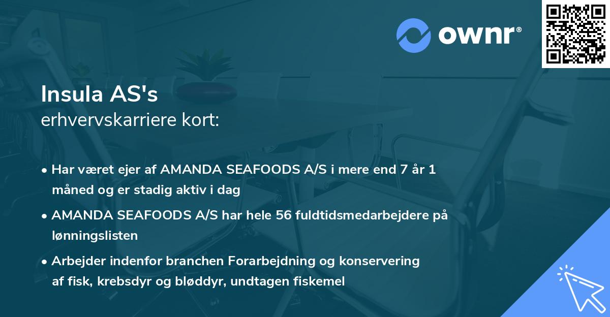 Insula AS's erhvervskarriere kort