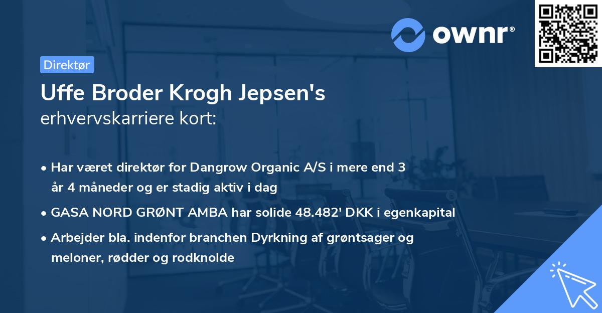 Uffe Broder Krogh Jepsen's erhvervskarriere kort