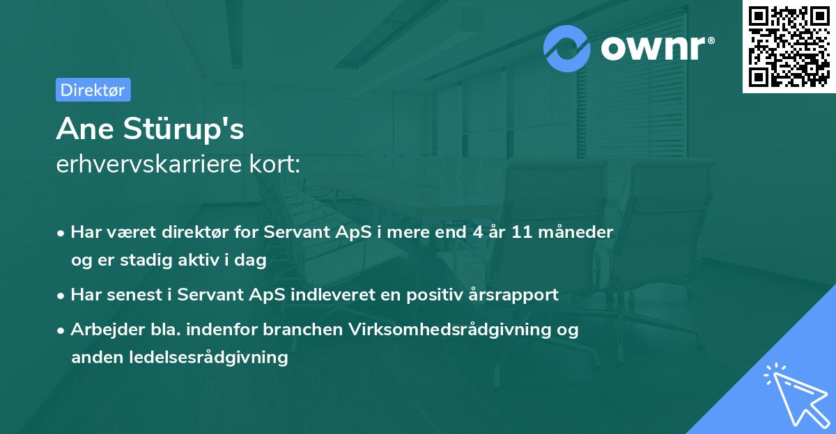 Ane Stürup's erhvervskarriere kort