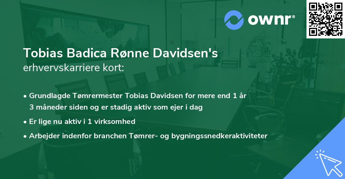 Tobias Badica Rønne Davidsen's erhvervskarriere kort
