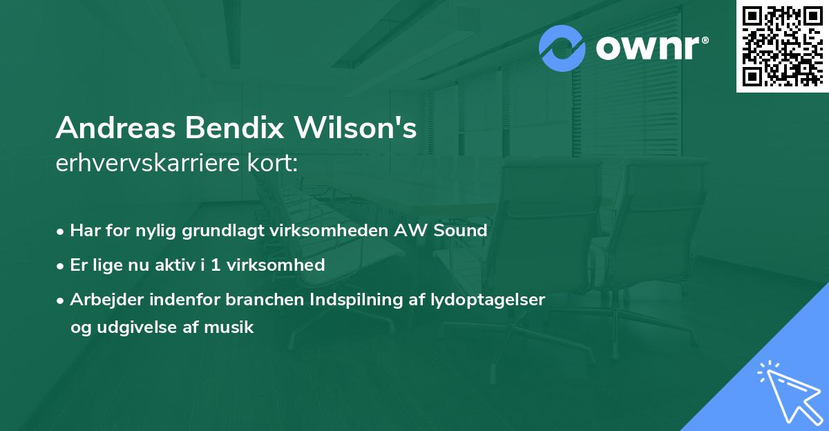 Andreas Bendix Wilson's erhvervskarriere kort