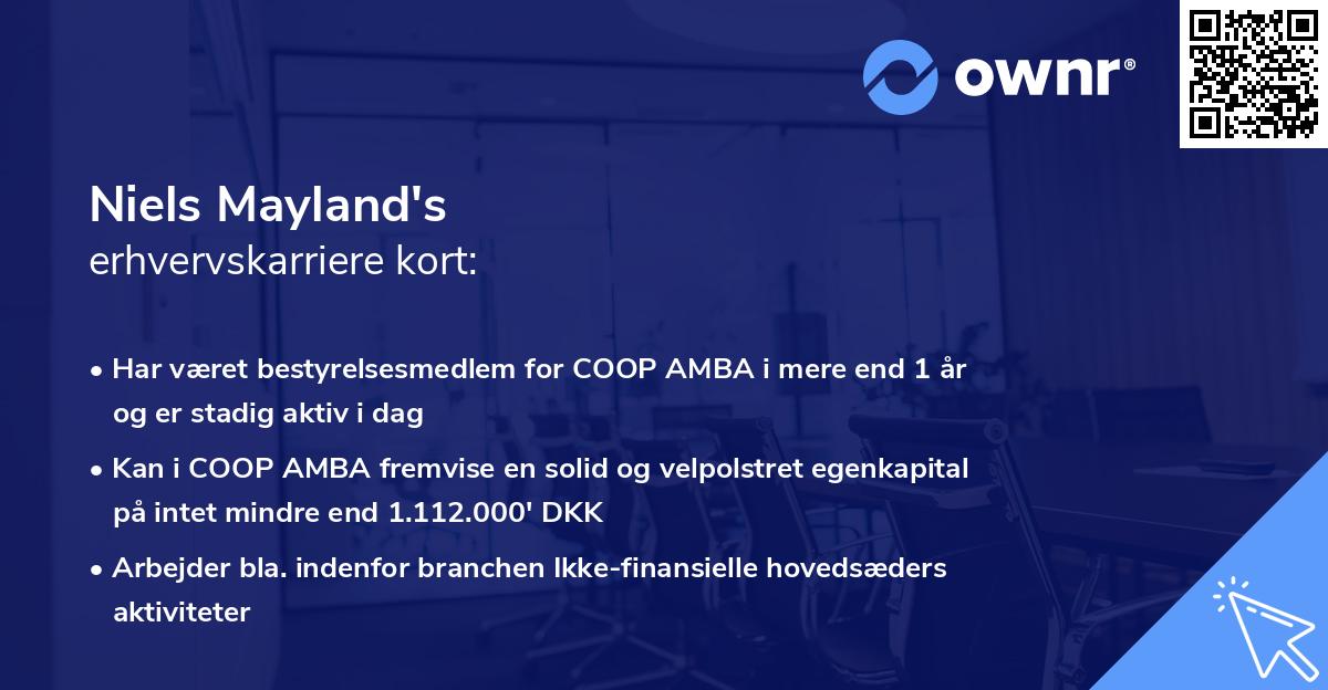 Niels Mayland's erhvervskarriere kort