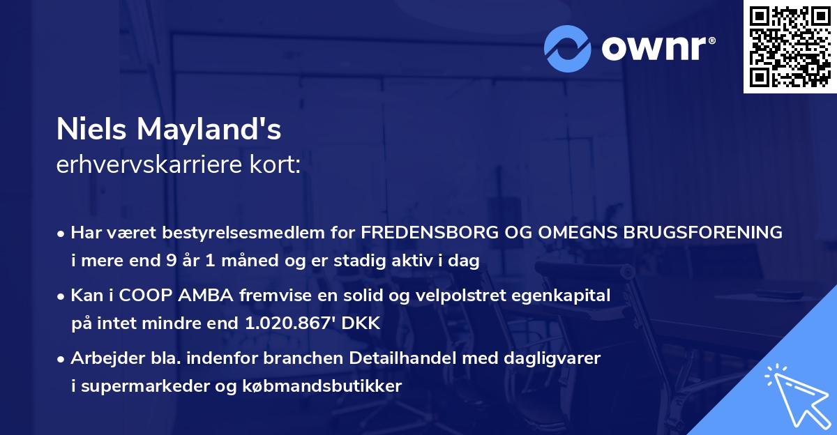 Niels Mayland's erhvervskarriere kort