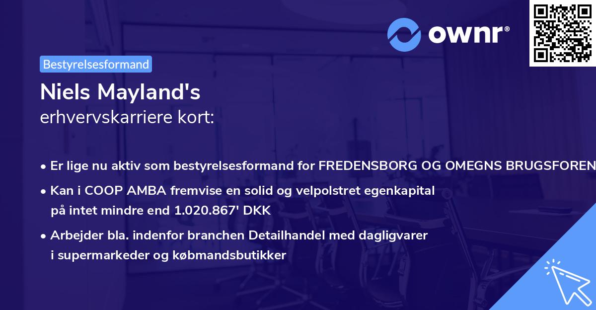 Niels Mayland's erhvervskarriere kort