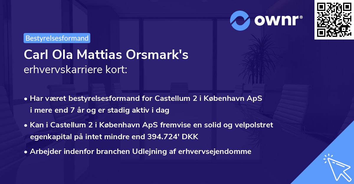 Carl Ola Mattias Orsmark's erhvervskarriere kort