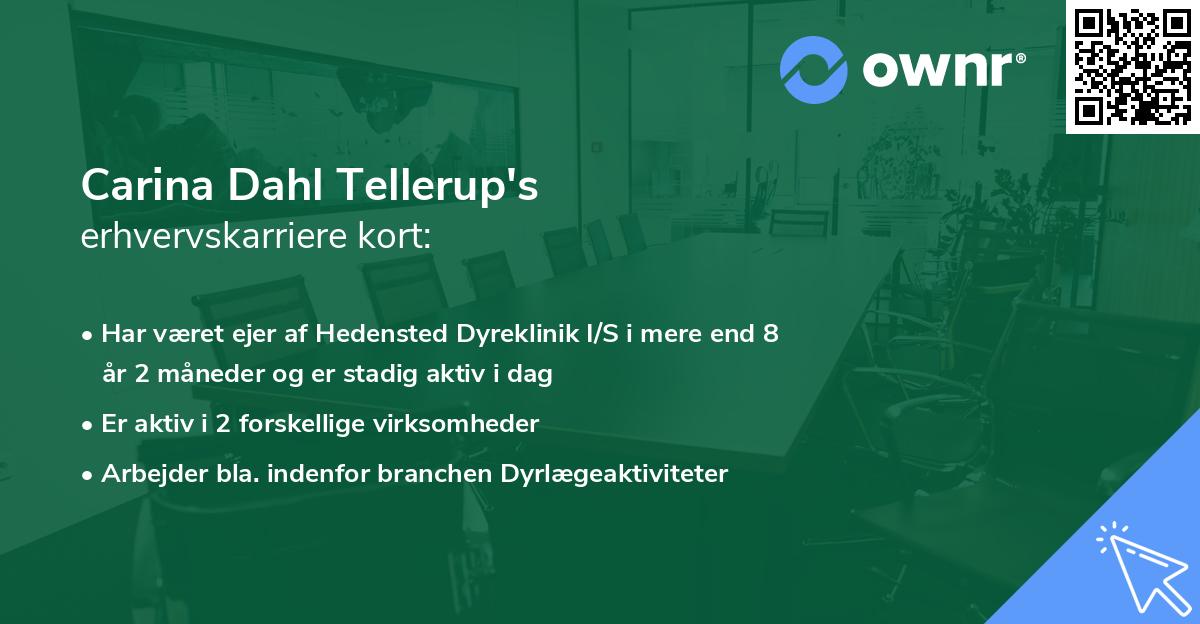 Carina Dahl Tellerup's erhvervskarriere kort