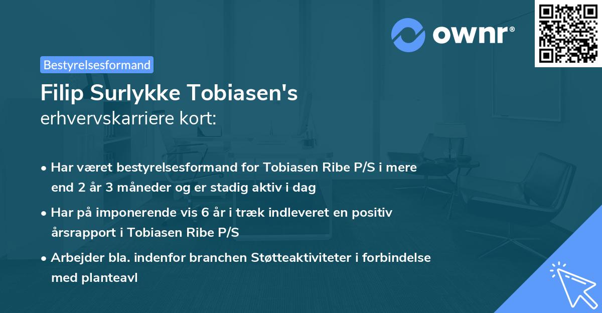 Filip Surlykke Tobiasen's erhvervskarriere kort