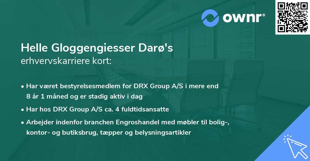 Helle Gloggengiesser Darø's erhvervskarriere kort