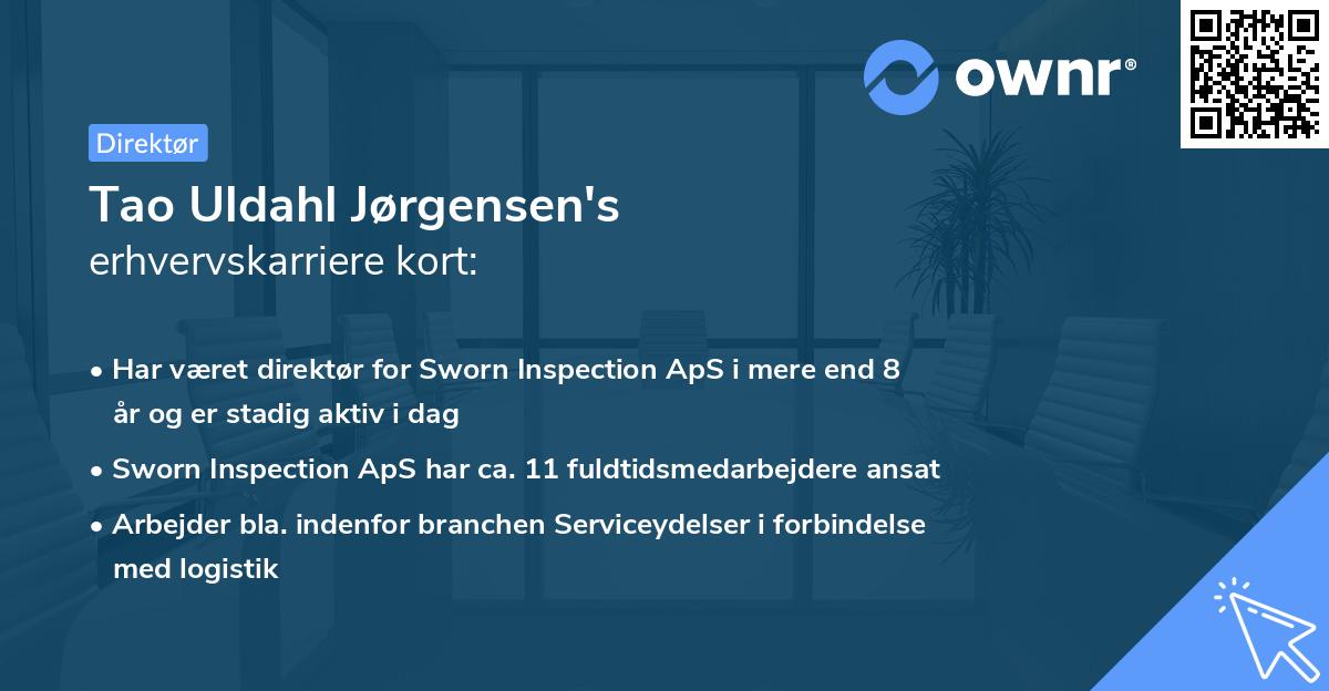 Tao Uldahl Jørgensen's erhvervskarriere kort