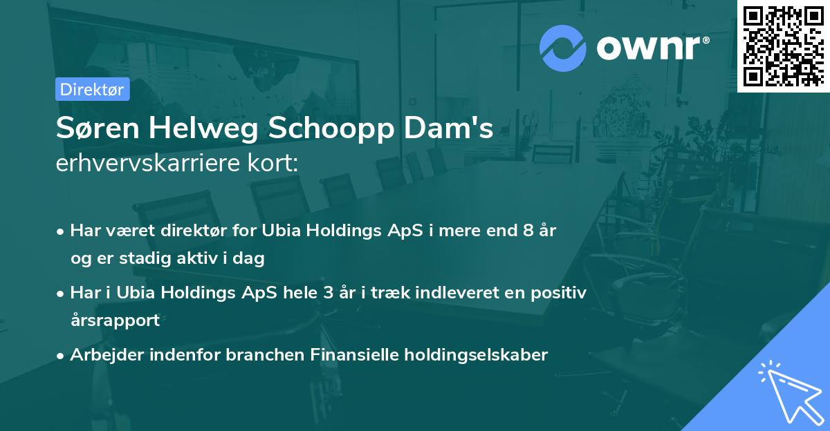 Søren Helweg Schoopp Dam's erhvervskarriere kort