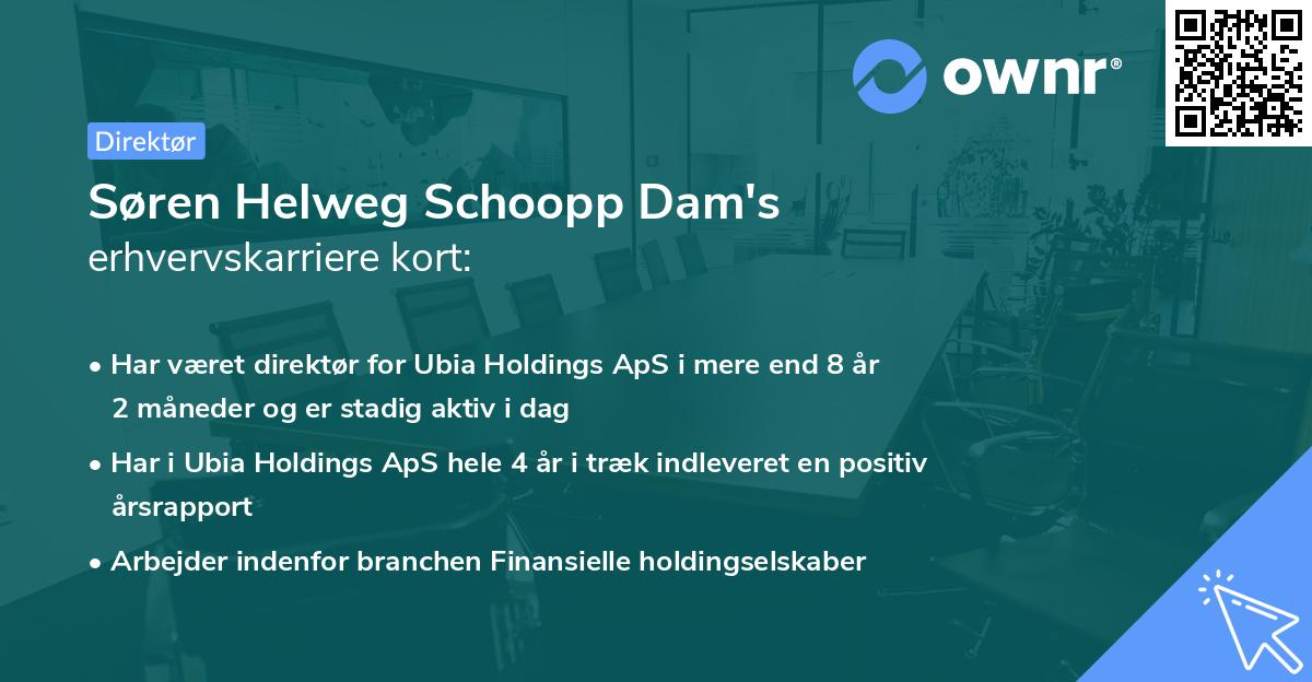 Søren Helweg Schoopp Dam's erhvervskarriere kort