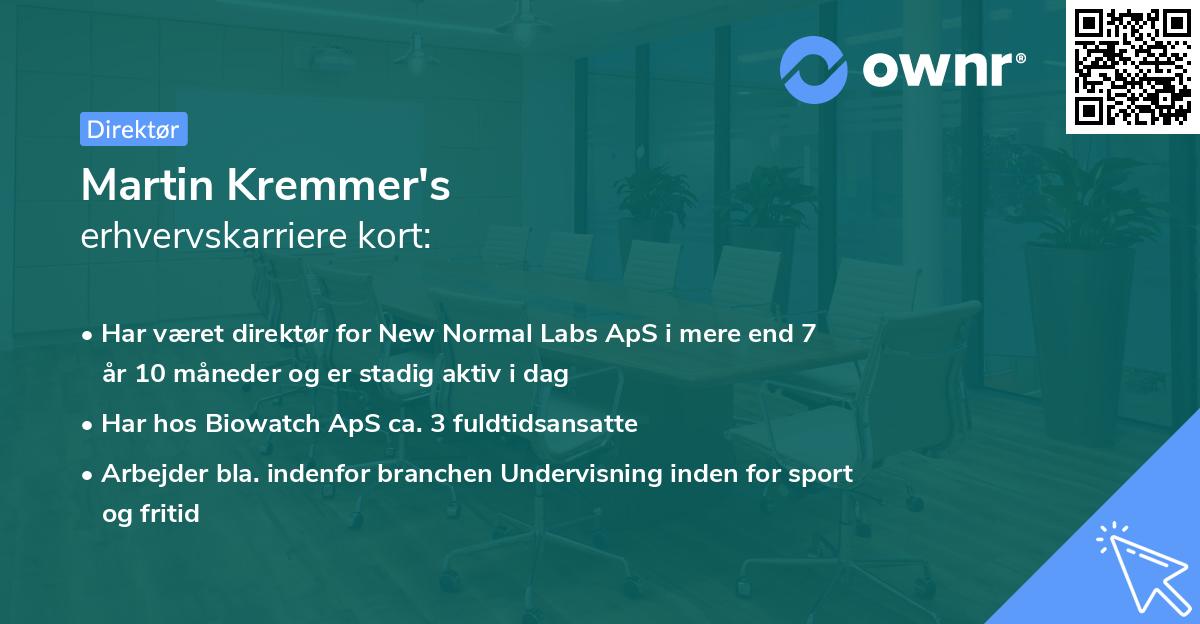 Martin Kremmer's erhvervskarriere kort