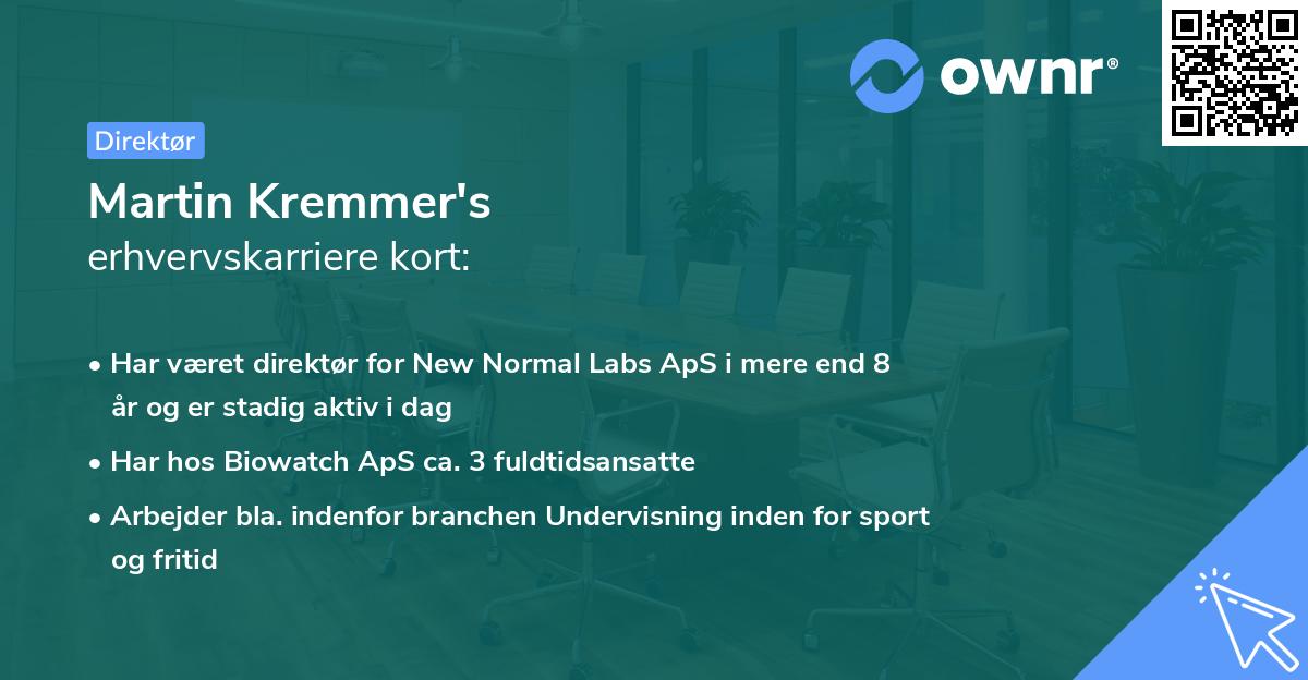Martin Kremmer's erhvervskarriere kort