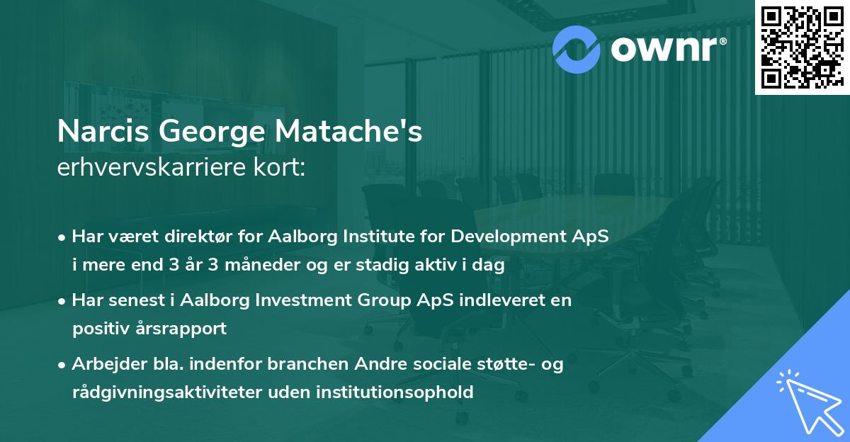 Narcis George Matache's erhvervskarriere kort