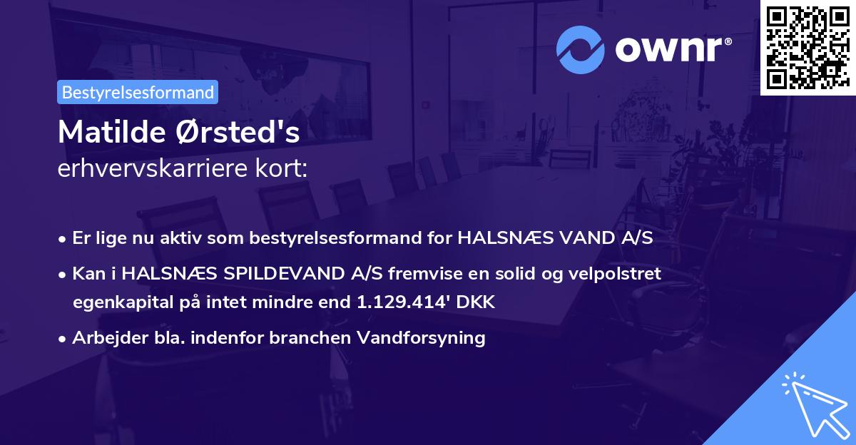 Matilde Ørsted's erhvervskarriere kort