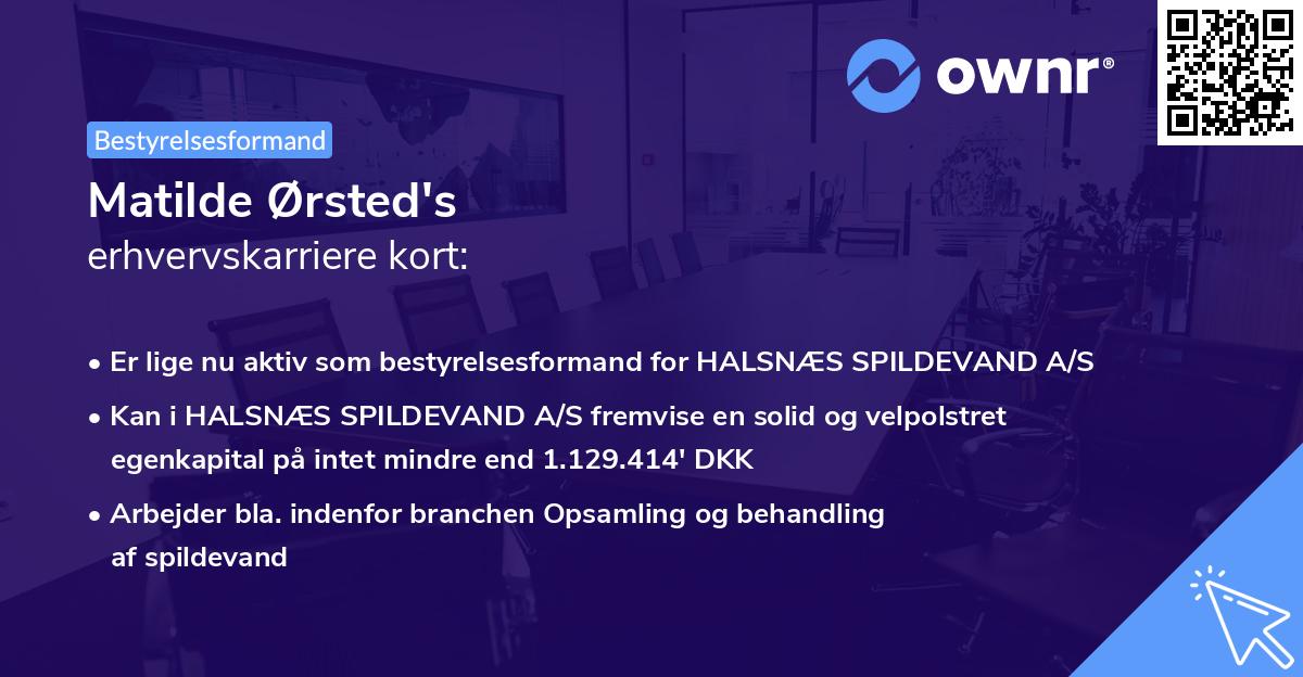 Matilde Ørsted's erhvervskarriere kort