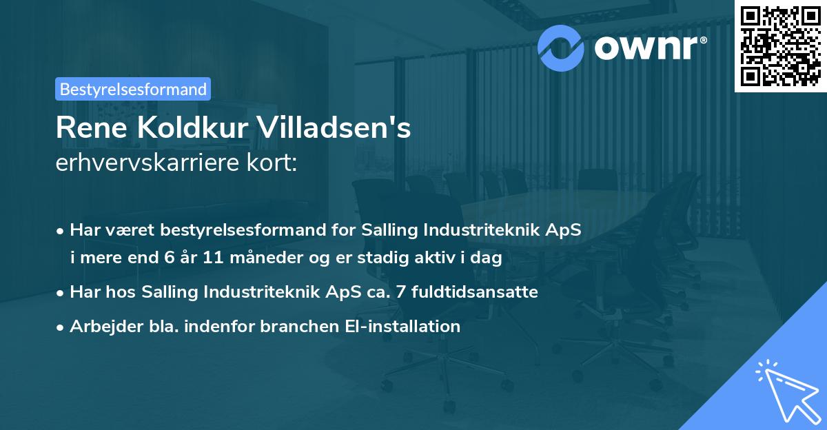 Rene Koldkur Villadsen's erhvervskarriere kort