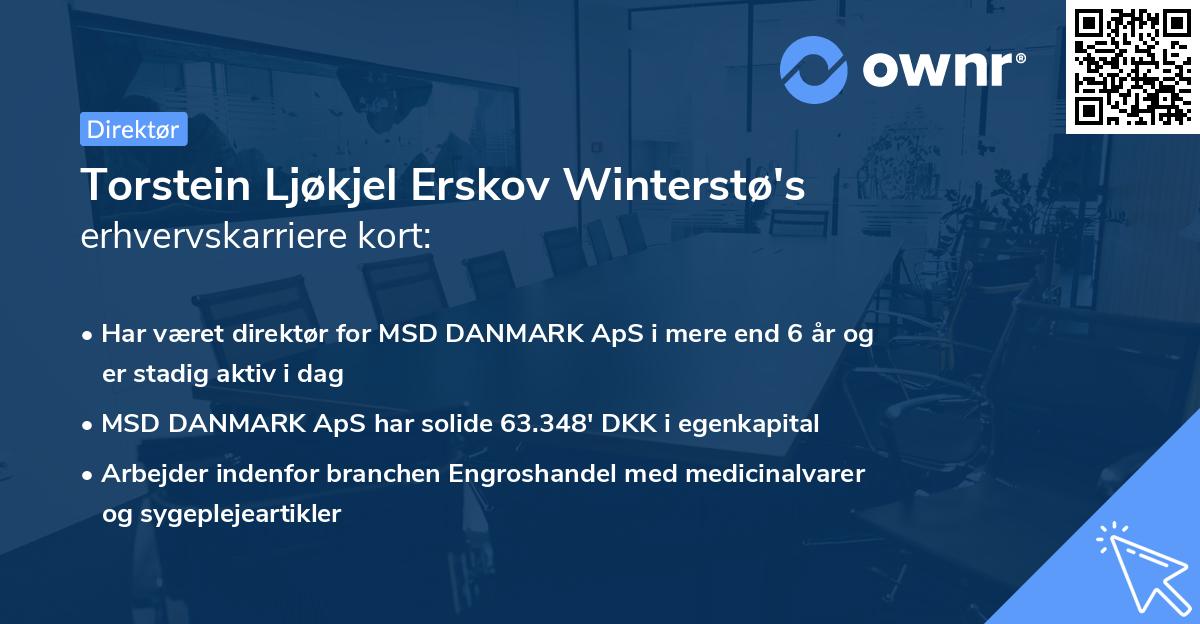 Torstein Ljøkjel Erskov Winterstø's erhvervskarriere kort