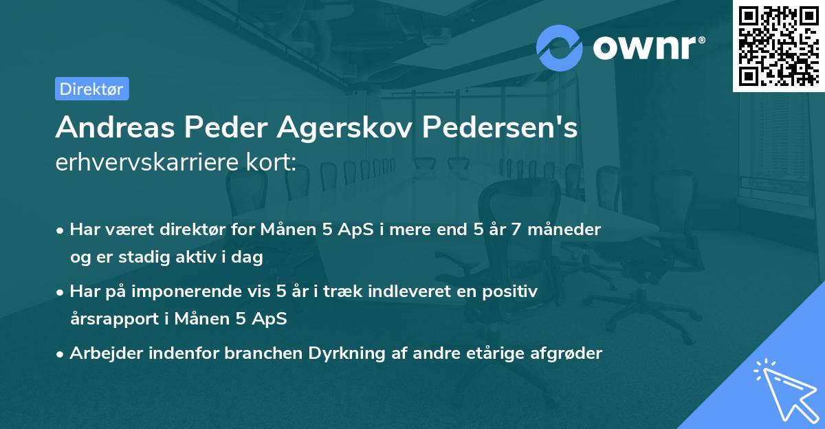 Andreas Peder Agerskov Pedersen's erhvervskarriere kort
