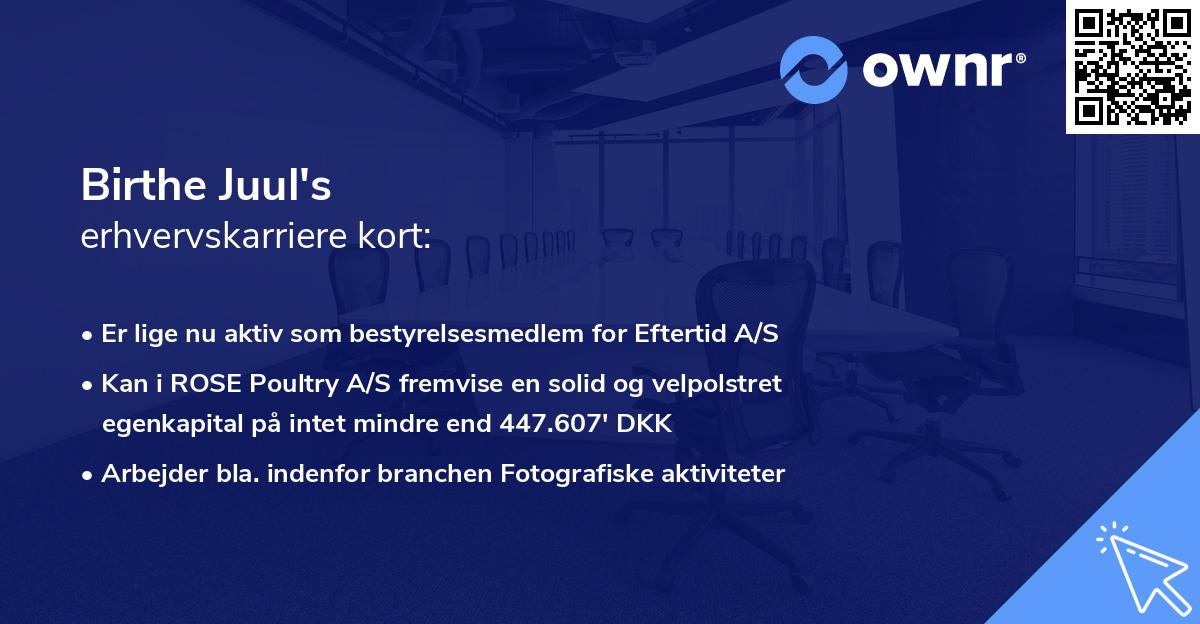 Birthe Juul's erhvervskarriere kort
